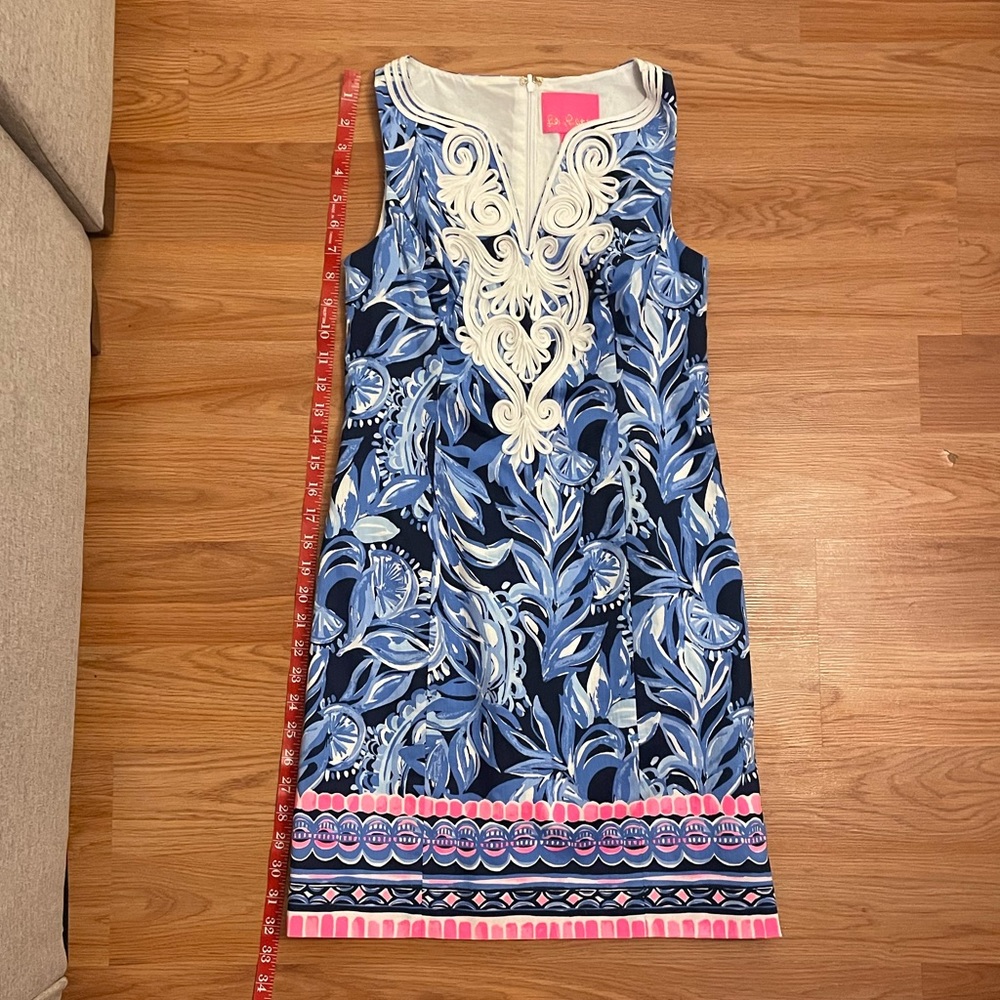 Nwt stunning Lilly dress